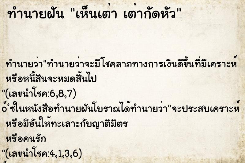 ทำนายฝัน เห็นเต่า เต่ากัดหัว ทำนายฝัน เห็นเต่า เต่ากัดหัว
